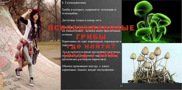 герыч Надым